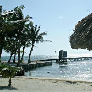 Meet your Posher, Adele